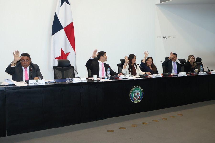 Imagen galería