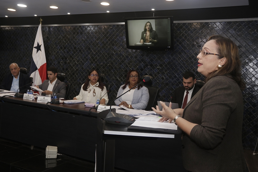 Imagen galería