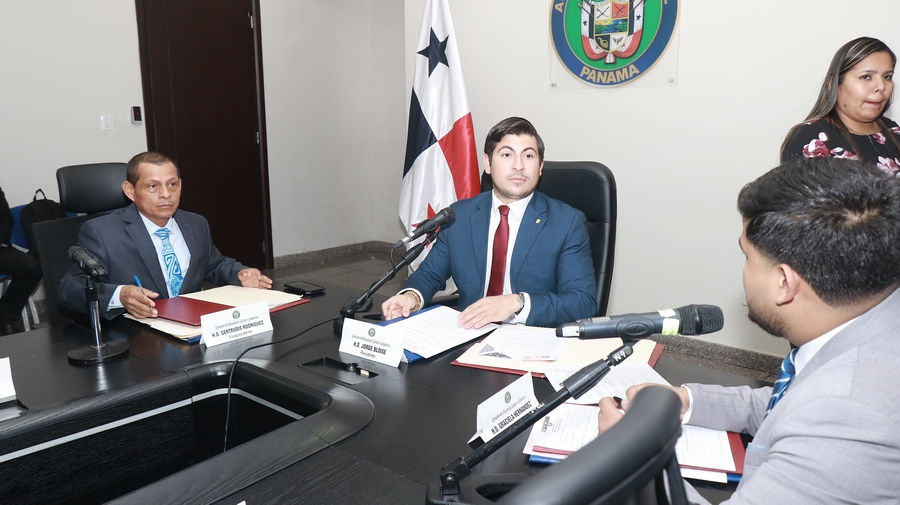 Imagen galería