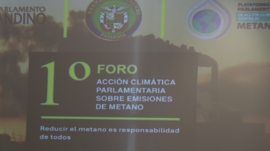 Imagen galería