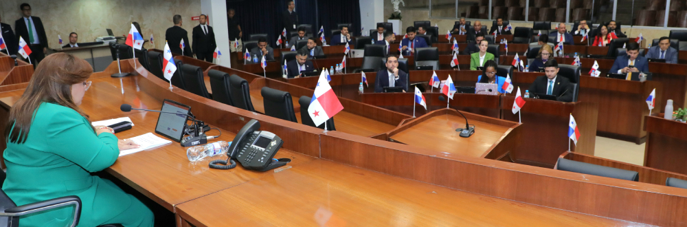 PLENO LEGISLATIVO  SE ENFOCA EN DEBATES DE SEGURIDAD SOCIAL 