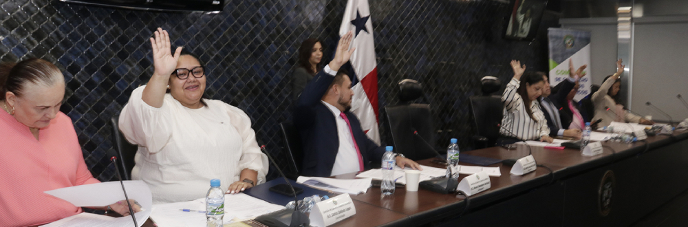 A SEGUNDO DEBATE NORMA DE PROTECCIÓN AL CONSUMIDOR Y DEFENSA DE LA COMPETENCIA