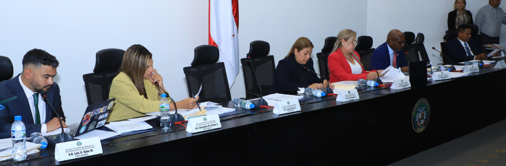 COMISIÓN DE CREDENCIALES EN SESIÓN PERMANENTE