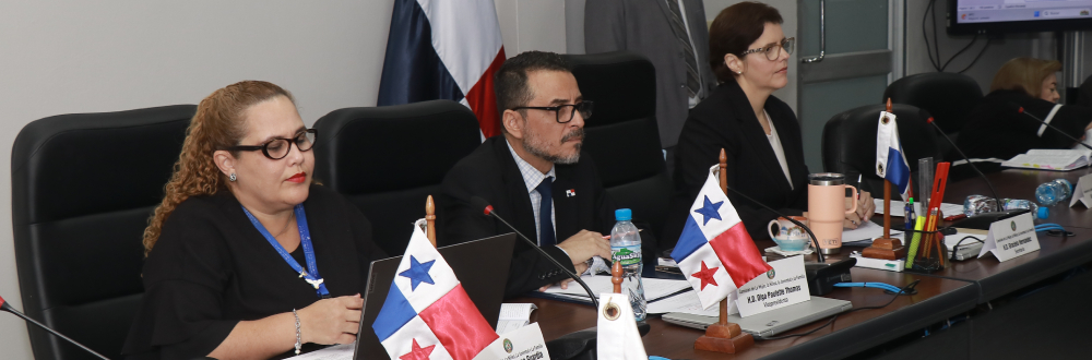 SUBCOMISIÓN INICIA CONSULTAS A PROYECTO DE ADOPCIONES 