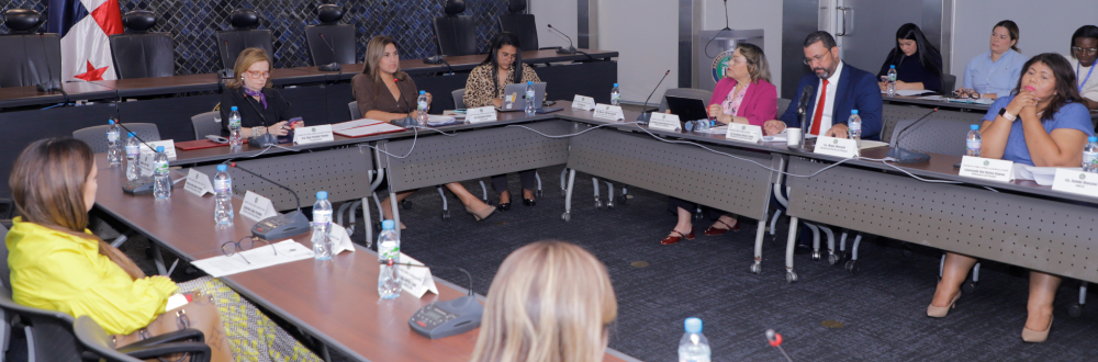 INICIAN CONSULTAS AL PROYECTO DE PENSIONES ALIMENTICIAS