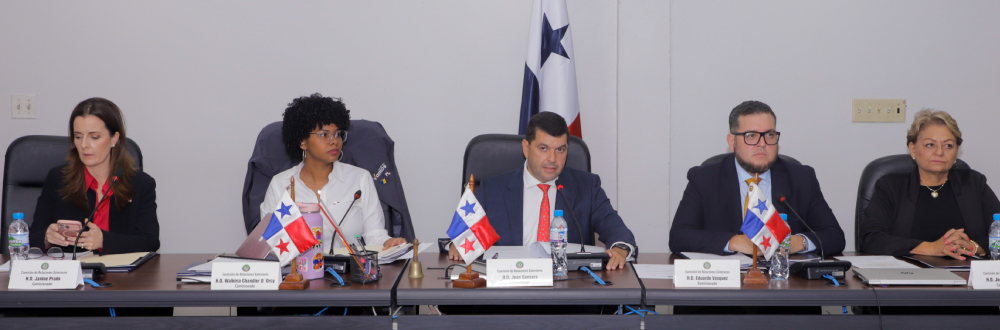 EMBAJADORES DE PANAMÁ EN AUSTRIA Y FRANCIA PRESENTAN PLAN DE TRABAJO 
