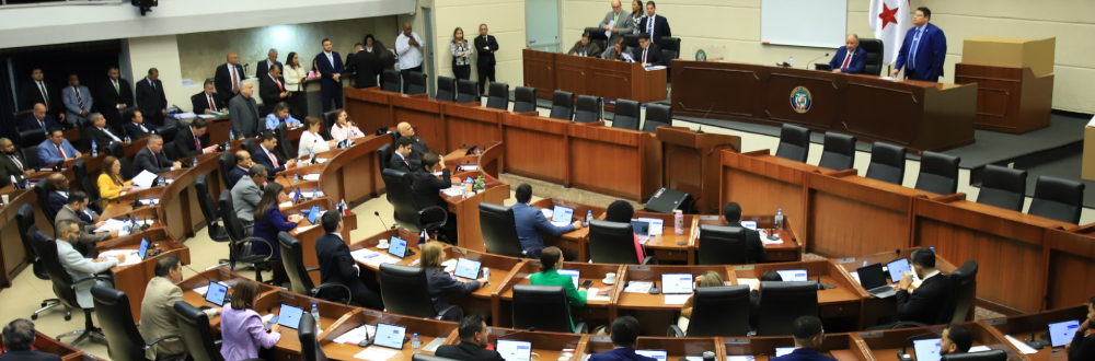ELIGEN LAS 15 COMISIONES PERMANENTES DE TRABAJO, PRINCIPAL FILTRO DE LOS DEBATES