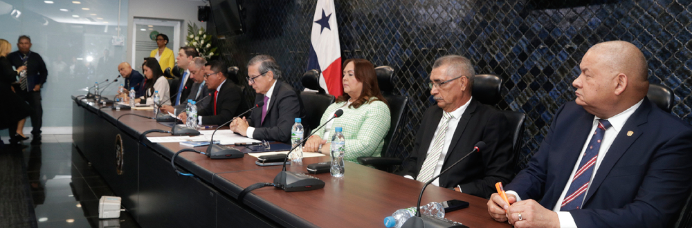 DIPUTADA DANA CASTAÑADA ASUME LA PRESIDENCIA DE LA COMISIÓN DE CREDENCIALES