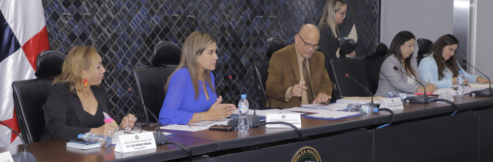 CREAN SUBCOMISIONES PARA TEMAS DE PENSIÓN ALIMENTICIA Y ADOPCIONES