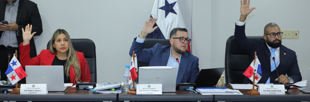 TERCERA SEMANA DE SUSTENTACIÓN DE VISTAS PRESUPUESTARIAS 2026