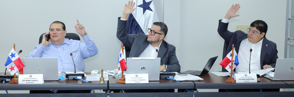 CSS SUSTENTA PRESUPUESTO PARA LA VIGENCIA FISCAL 2026