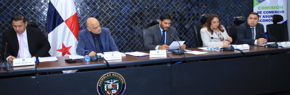 ADMINISTRADORA DE LA ATP COMPARECE ANTE LA COMISIÓN DE COMERCIO