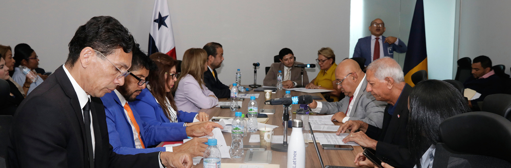 DEBATE SOBRE CARRERA DIPLOMÁTICA CONTINUARÁ LA PRÓXIMA SEMANA