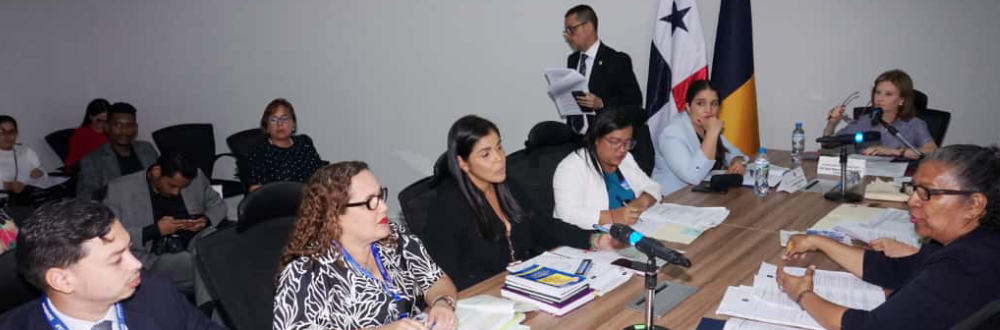 SUBCOMISIÓN ANALIZA PROYECTO DE  LEY GENERAL DE ADOPCIONES