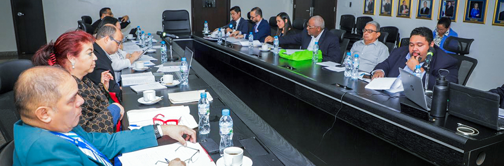CONTINÚAN ACERCAMIENTOS PARA CONSENSUAR PROYECTO DE LEY DE CARRERA ADMINISTRATIVA