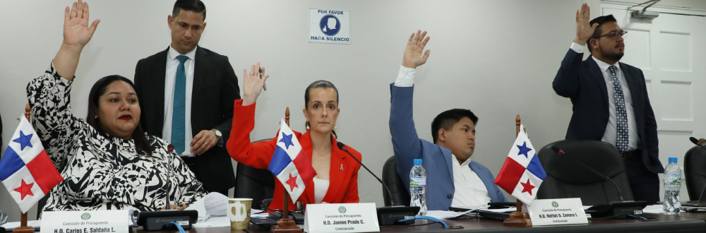 COMISIÓN DE PRESUPUESTO ATIENDE TRASLADOS DE PARTIDAS A FAVOR DE DIVERSAS INSTITUCIONES DEL ESTADO