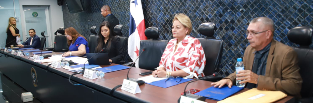 APRUEBAN RESOLUCIÓN PARA RATIFICAR A MAGISTRADOS SUPLENTES DE LA CSJ  