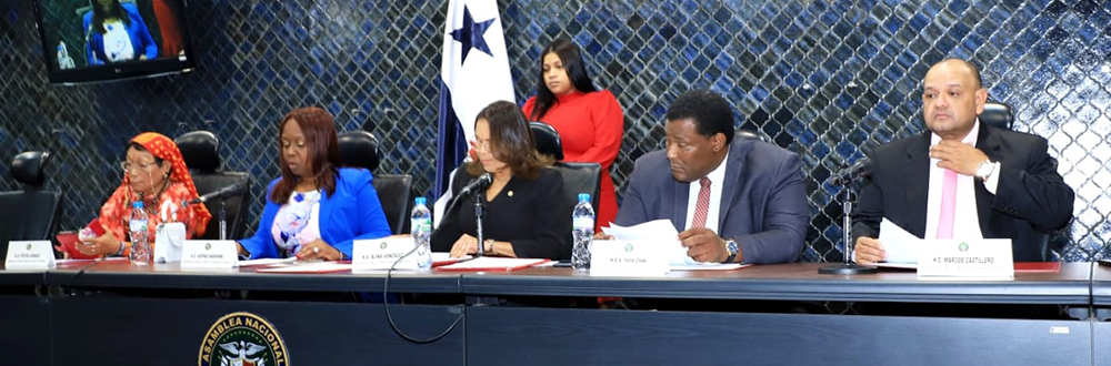 DISCUTEN NORMA SOBRE PROTECCIÓN A LA NIÑEZ Y ADOLESCENCIA
