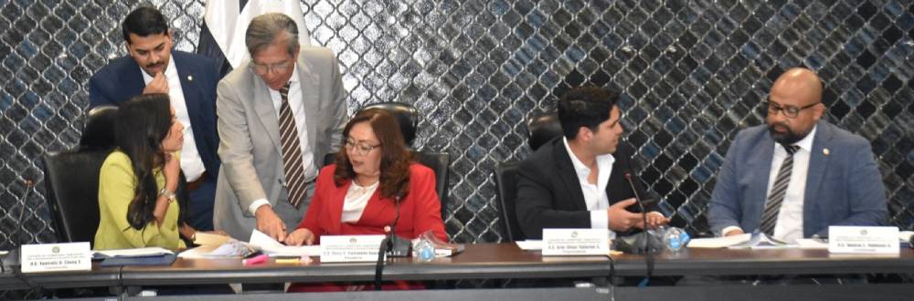 ASAMBLEA NACIONAL PROPONE DESCUENTOS SALARIALES   POR FALTA DE QUÓRUM Y REGLAS PARA LA DESIGNACIÓN DE CARGOS PÚBLICOS