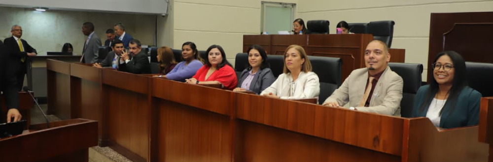CREAN EL MARCO REGULATORIO PARA EJERCER LA PROFESIÓN DE RELACIONES INTERNACIONALES 