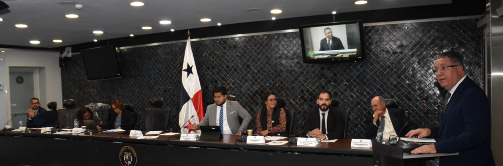 MITRADEL, AAUD Y SENADIS SUSTENTARON SUS MEMORIAS 2025