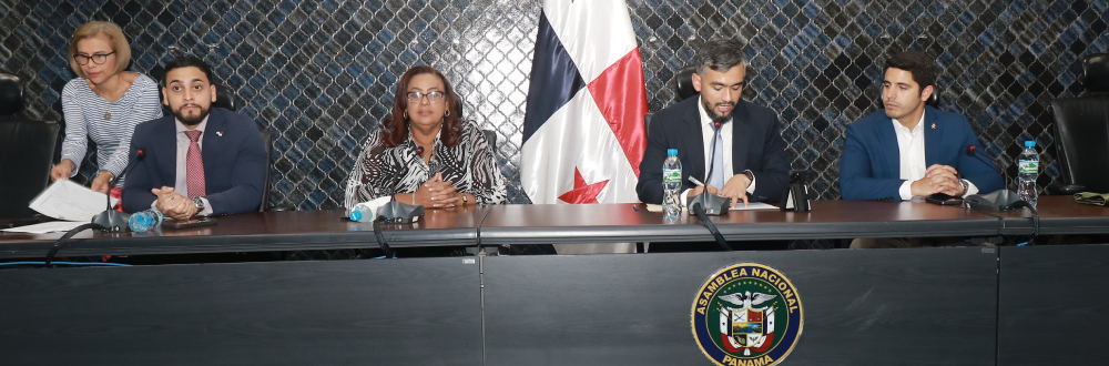 SUBCOMISIÓN DE GOBIERNO EVALÚA REFORMAS A LA LEY DE EQUIPARACIÓN DE OPORTUNIDADES