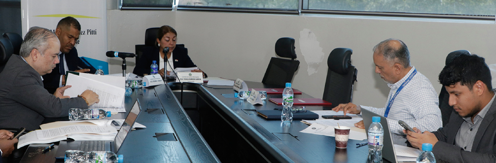 INICIAN CONSULTAS SOBRE IMPUESTO MUNICIPAL DE VEHÍCULOS EN LOS MUNICIPIOS