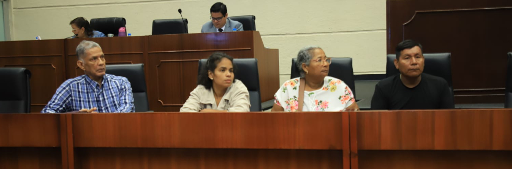 MORADORES DE JAQUÉ EN DARIÉN ACUDEN AL PLENO LEGISLATIVO A EXPONER PROBLEMA SOCIOECONÓMICO 