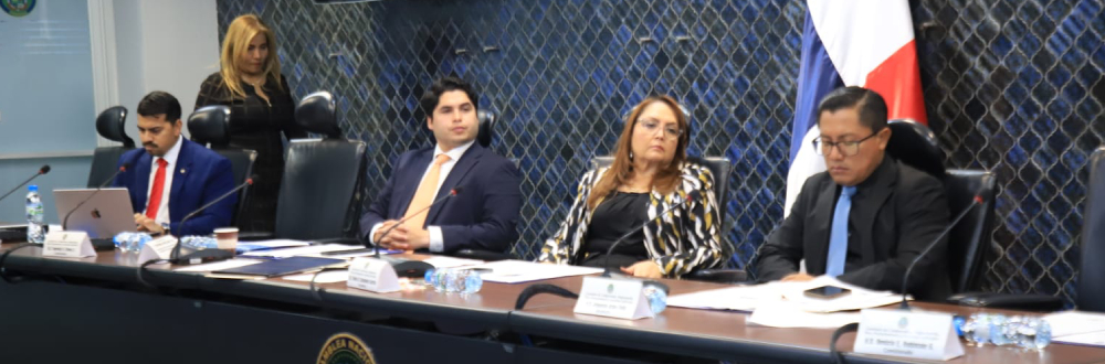 COMISIÓN DE CREDENCIALES CULMINA ENTREVISTAS DE ASPIRANTES A   MAGISTRADOS DEL TRIBUNAL ELECTORAL