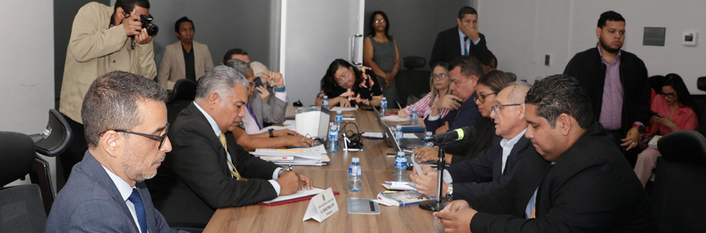 APRUEBAN NORMAS TENDIENTES A LA PROTECCIÓN DE LA NIÑEZ Y LAS PERSONAS CON DISCAPACIDAD