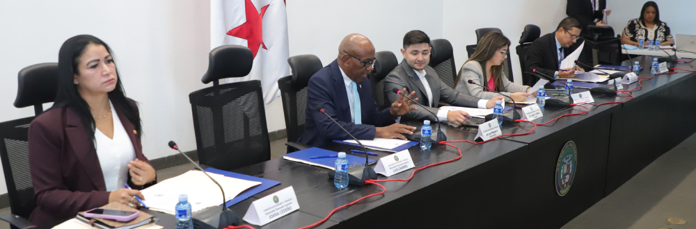 APRUEBAN EN PRIMER DEBATE PROYECTO SOBRE RESPONSABILIDAD SOCIAL Y FISCAL