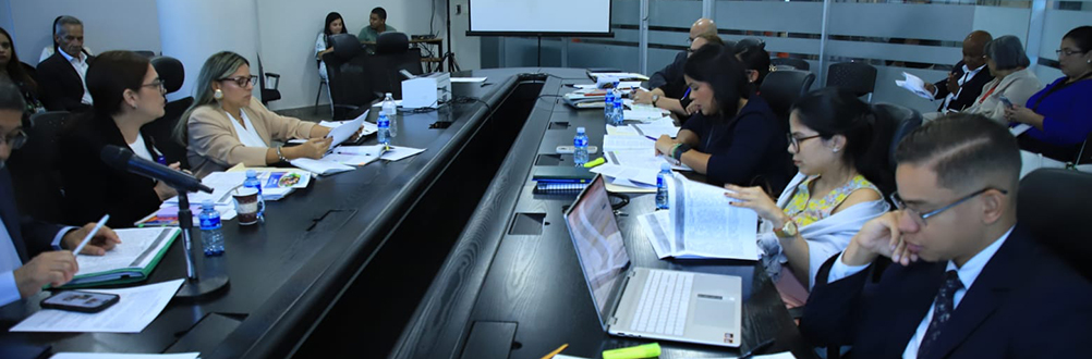 MESA TÉCNICA SIGUE EVALUANDO PROCESO DE ADOPCIONES