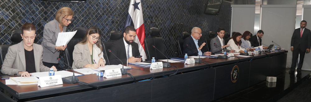 A SEGUNDO DEBATE PROYECTO DE LEY DE RESPONSABILIDAD PENAL DE MENORES 