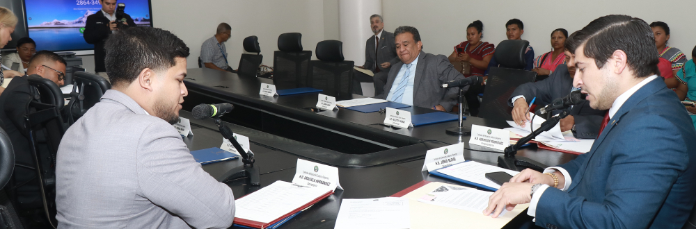 APROBADA EN PRIMER DEBATE LEY QUE CREA UNIVERSIDAD AUTÓNOMA DE PUEBLOS INDÍGENAS
