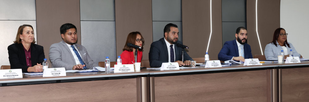 ENTREGAN INFORME DE SUBCOMISIÓN SOBRE PROYECTOS DE LEY DE CARRERA ADMINISTRATIVA