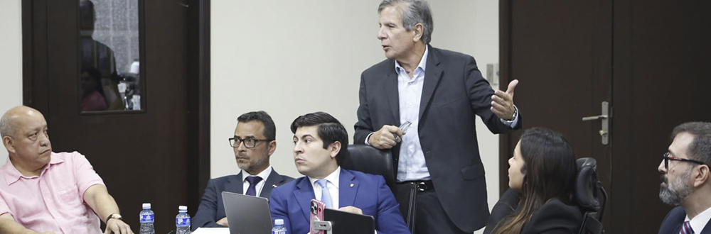 DIPUTADOS SOSTIENEN REUNIÓN DE CONSULTA CON PROFESIONALES SOBRE NORMAS DE SUSTANCIA ECONÓMICA