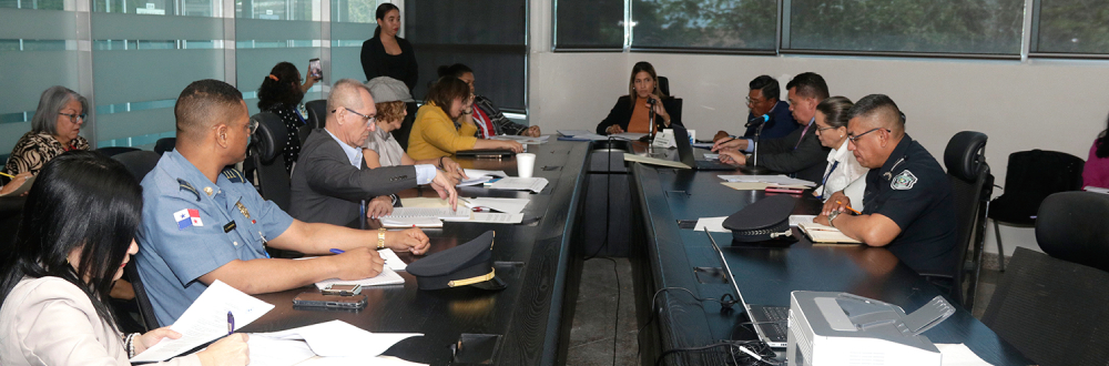 COMISIÓN DE LA MUJER AVANZA ANÁLISIS DEL PROYECTO DE LEY 618 SOBRE CENTROS DE ACOGIMIENTO INSTITUCIONAL