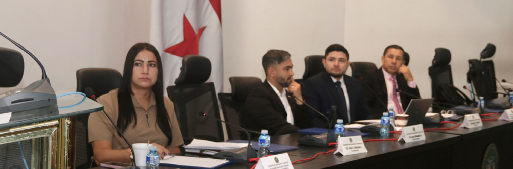 SECTORES ABOGAN POR  EXCLUIR DEL   PROYECTO DE SUSTANCIA ECONÓMICA EL TEMA MARÍTIMO