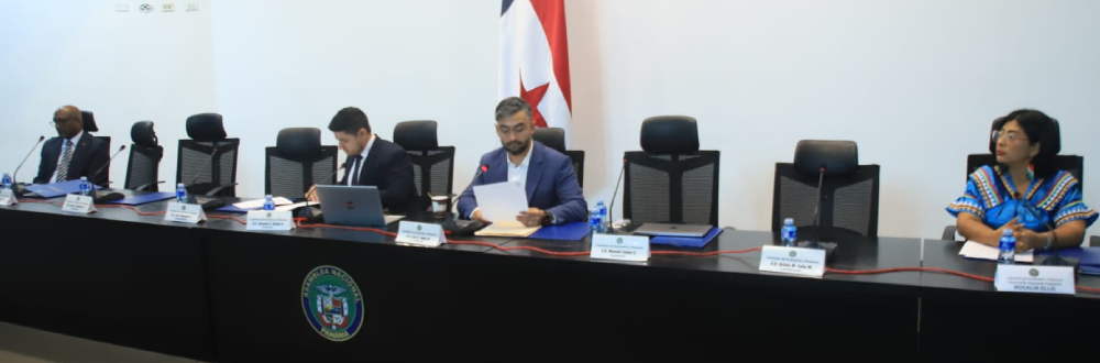 COMISIÓN DE ECONOMÍA AFINA MODIFICACIONES AL PROYECTO DE LEY SOBRE SUSTANCIA ECONÓMICA     