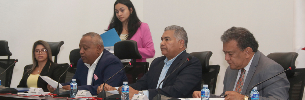 COMISIÓN AGROPECUARIA RESPALDA A PRODUCTORES PANAMEÑOS ANTE DIFERENCIAS COMERCIALES CON COSTA RICA 