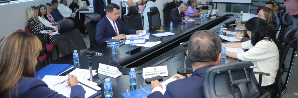 CONTINÚA EN ANÁLISIS PROYECTO SOBRE CENTROS DE ACOGIMIENTO INSTITUCIONALES
