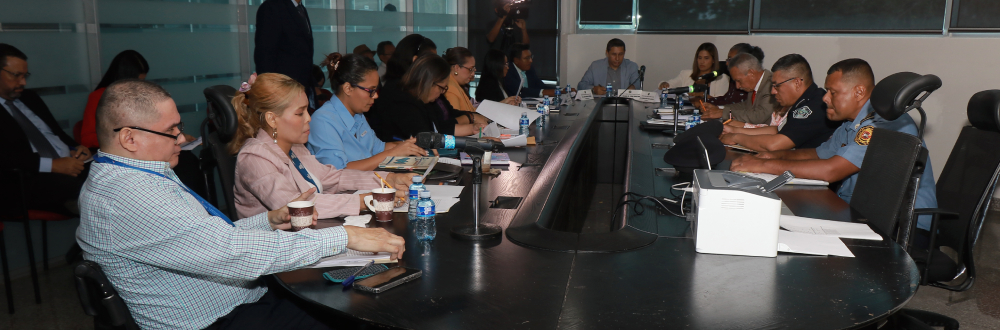 AVANZAN CONSULTAS PARA CENTROS DE ACOGIMIENTO DE NIÑOS, NIÑAS Y ADOLESCENTES