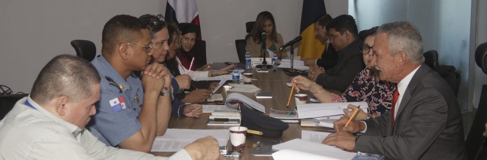 COMISIÓN DE LA MUJER REALIZA QUINTA MESA TÉCNICA SOBRE CENTROS DE ACOGIMIENTO
