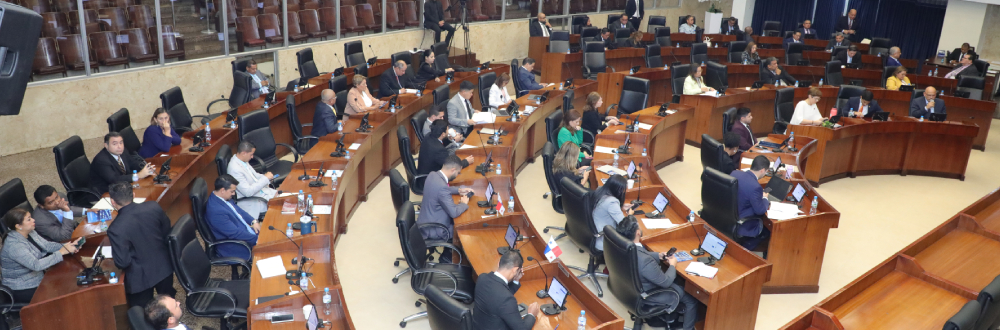 DIPUTADOS BUSCAN MODIFICAR LEY DEL SECTOR ELÉCTRICO 