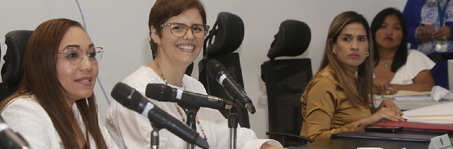 INICIATIVAS EN BENEFICIO DE LA FAMILIA CENTRARON EL DEBATE EN LA COMISIÓN DE LA MUJER