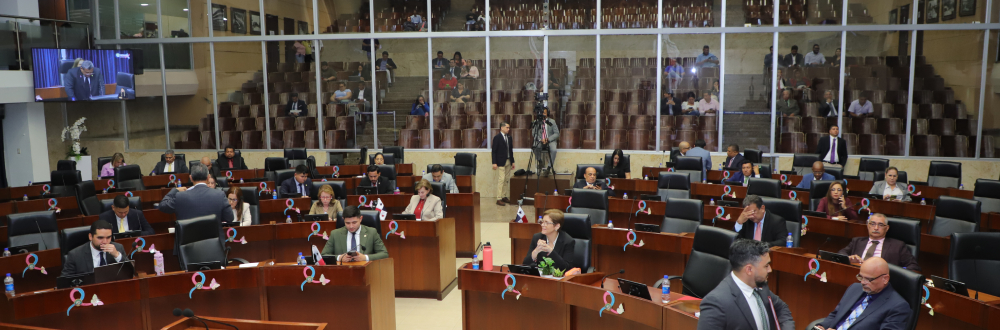 BUSCAN VIABILIZAR SERVIDUMBRES PÚBLICAS PARA QUE SEAN ADMINISTRADAS POR EL ESTADO