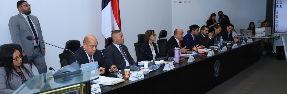BANCADAS LEGISLATIVAS CON PROPUESTAS DE MODIFICACIONES A LA CSS