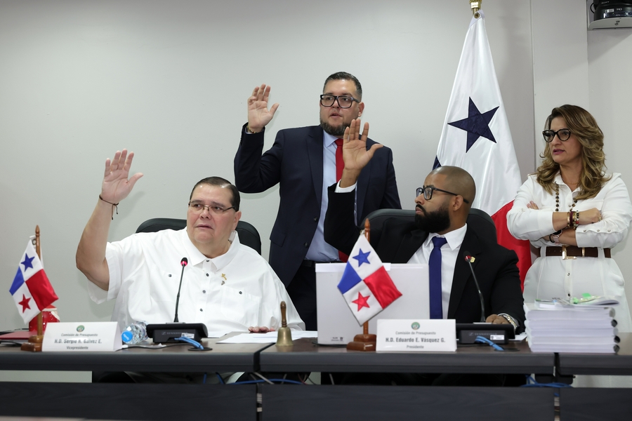 APRUEBAN TRASLADO DE PARTIDA PARA SUBSIDIO DE COMBUSTIBLE EN LA COMISIÓN DE PRESUPUESTO